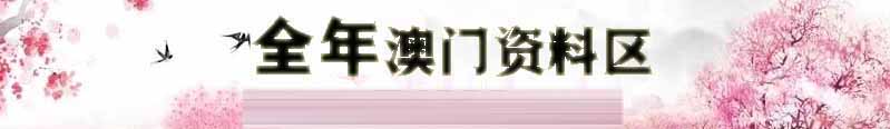 新澳夜场资料